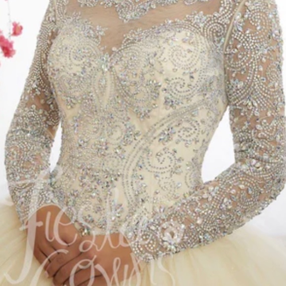 White Ball Gown - Picture 2 of 4